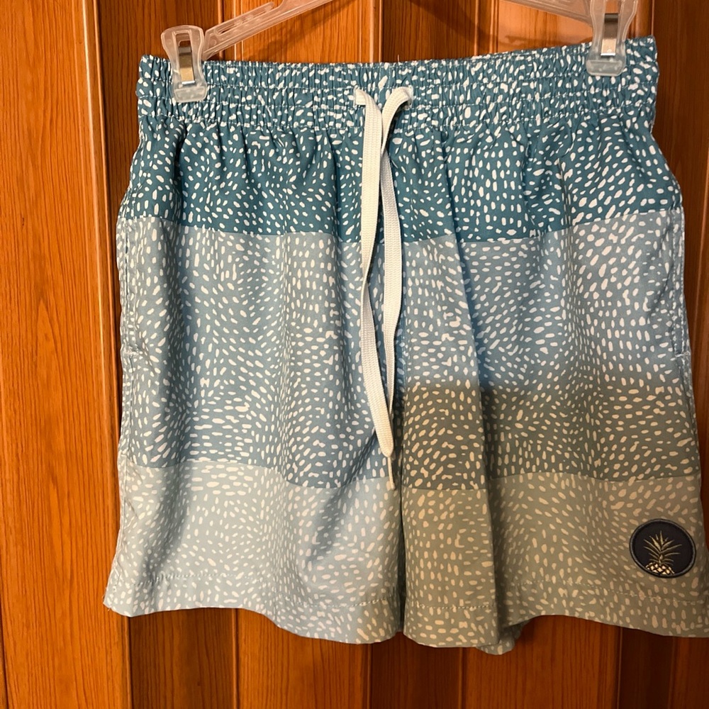 Chubbies Teal and White Swim Trunks